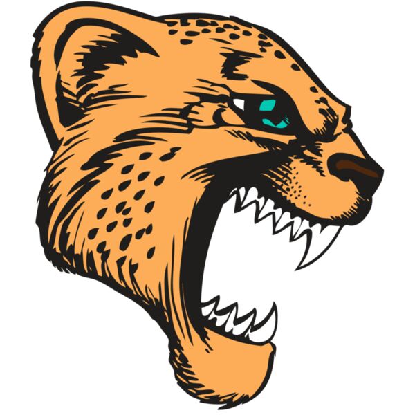 BAW CHEETAH 11 RC Thumbnail